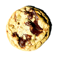 Chocolate Chip