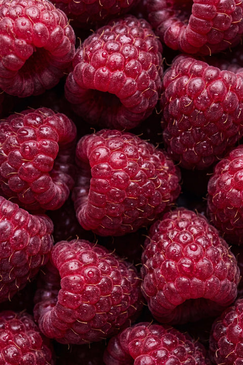 Fresh raspberries